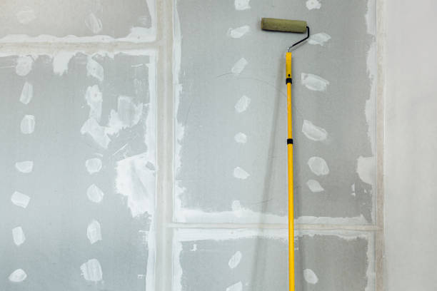 Best Drywall Texturing  in Emma, NC